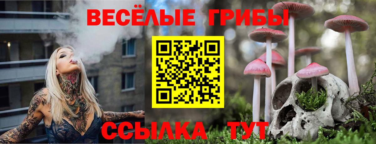 Псилоцибиновые грибы Magic Shrooms  Вход с VPN  Кинель  Псилоцибиновые грибы Magic Shrooms 